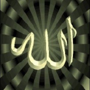 Meet your Posher, Ali